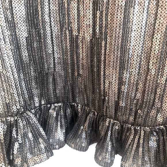 💎NWT Gorgeous Anthropologie Silver Sequin Camisole Top.  Size 10 - Picture 3 of 9